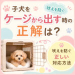 子犬をケージから出す時の正解は？吠えを防ぐ正しい対応方法とは
