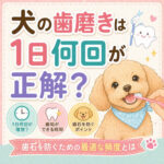 犬の歯磨きは1日何回が正解？歯石を防ぐための最適な頻度とは