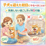 子犬を迎えた初日にやるべきことは？失敗しない過ごし方とNG行動