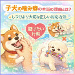 子犬の噛み癖の本当の理由とは？しつけより大切な正しい対応方法