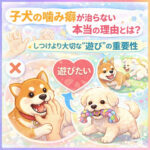 子犬の噛み癖が治らない本当の理由とは？しつけより大切な“遊び”の重要性