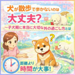 子犬が散歩で歩かないのは大丈夫？子犬期に本当に大切な外の過ごし方とは