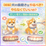 【結論】犬の歯磨きはやるべき？やらなくていい？