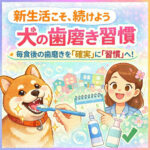 新生活でも忘れないわんちゃんの歯磨き習慣！口内環境を守るために大切なこと