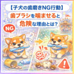 【子犬の歯磨きNG行動】歯ブラシを噛ませると危険な理由とは？