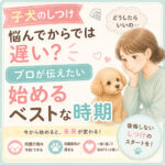 【子犬のしつけ】悩んでからでは遅い？プロが伝えたい始めるベストな時期