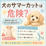 犬のサマーカットは危険？暑くなる前に知っておきたい本当の話