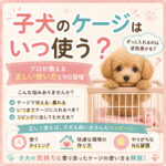 子犬のケージはいつ使う？プロが教える正しい使い方とNG習慣