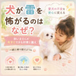 犬が雷を怖がるのはなぜ？飼い主さんが今すぐできる対策と備え