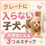 クレートに入らない子犬へ｜大好きになる教え方と3つのステップ