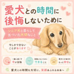 愛犬との時間に後悔しないために｜シニア犬と暮らして気づいた大切なこと