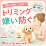 犬のトリミング嫌いを防ぐには？将来を変えるストレスを減らす接し方