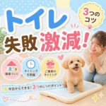【子犬のトイレ失敗が激減】今日からできる3つのしつけポイントとは？