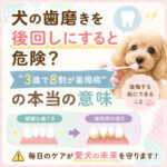 犬の歯磨きを後回しにすると危険？“3歳で8割が歯周病”の本当の意味