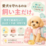 愛犬を守れるのは飼い主さんだけ｜今すぐ始めたい犬の防災準備と避難対策