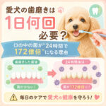 愛犬の歯磨きは1日何回必要？口の中の菌が“24時間で172億倍”になる理由