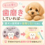 「もっと早く歯磨きしていれば…」愛犬の歯周病で後悔しないために今できること