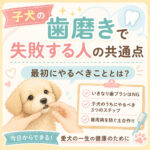 子犬の歯磨きで失敗する人の共通点｜最初にやるべきこととは？