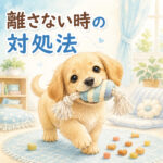 子犬がくわえた物を離さない原因と正しい対応法