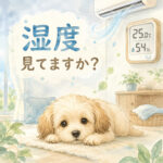 子犬の暑さ対策｜温度より大切な湿度管理とは