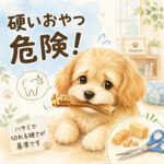 わんちゃんに硬いおやつは危険？歯が割れる原因と安全な選び方