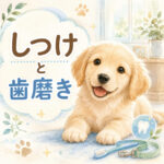 子犬を迎えたら必ずやるべき「しつけ」と「歯磨き」の理由