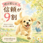わんちゃんの呼び戻しは信頼関係が9割｜今日からできる練習法