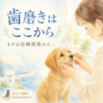 子犬の歯磨きは何から始める？失敗しない第一歩