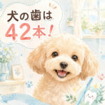 わんちゃんの歯は42本！知らないと後悔する歯磨き習慣