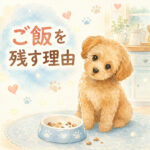 子犬がご飯を残す時に見直すべき1つのこと