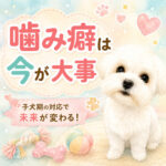 犬の噛み癖は子犬期が重要！後悔しないしつけの始め方