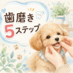 子犬の歯磨きで失敗しない5つのステップ