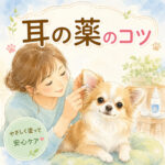 犬の外耳炎ケア｜耳に薬を上手に塗るコツ