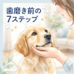 犬の歯磨き嫌いを防ぐ！最初にやるべき7つのステップ