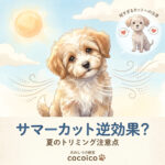 犬のサマーカットは逆効果？夏のトリミング注意点