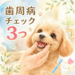 犬の歯周病はここを見る！毎日のチェックポイント3つ  理由