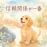 子犬のしつけは毎日の積み重ね｜信頼関係を育むコツ