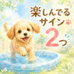 わんちゃんはプールが好き？楽しんでいるか見分ける2つのポイント