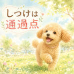 子犬のしつけは通過点本当の幸せはその先にある
