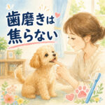 子犬の歯磨きで絶対に焦ってはいけない理由