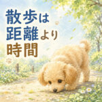 子犬の散歩は距離より時間！歩かない時の考え方
