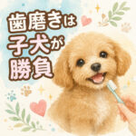 わんちゃんの歯磨きは子犬が勝負！病気を防ぐ大切な習慣