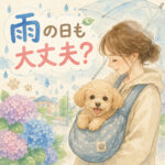 子犬は雨の日も散歩していい？安全な外出方法を解説  理由