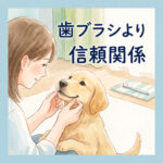 子犬の歯磨きは歯ブラシより信頼関係が大切