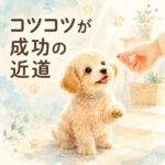 子犬のしつけがうまくいくたった1つのコツ