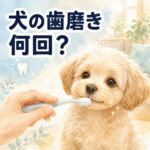 わんちゃんの歯磨きは1日何回？口内環境を守る習慣
