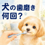わんちゃんの歯磨きは1日何回？歯周病を防ぐ習慣