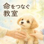 子犬のしつけ教室の存在意義｜cocoicoが命をつなぐ理由