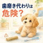 わんちゃんの歯磨きはガムで代用できる？危険な3つの理由
