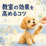 子犬のしつけ教室の上手な使い方｜効果を高めるコツ